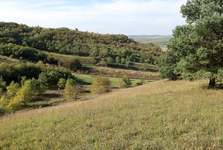 Co hýbalo Kyjovskem: Nejčtenější články roku 2025 přinášejí kriminální zprávy